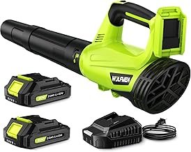 Leaf Blower Electric Cordless 2 Batteries
