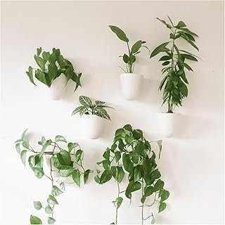Make Good PlantPod Luxe