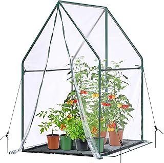 Mini Greenhouse Indoor Outdoor