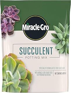 Miracle-Gro Succulent Potting Mix