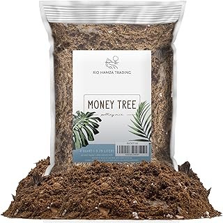 Money Tree Soil (4 Quarts)