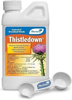 Monterey Thistledown Bundled Measuring Spoon