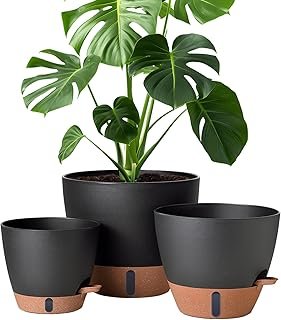 montresor 12/10/8 Inch Self Watering Pots