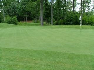 Outsidepride PC2.0 (Penncross) Creeping Bent Grass