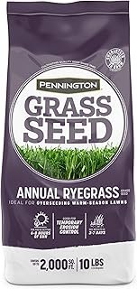 Pennington Annual Ryegrass Seed
