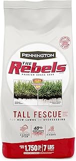 Pennington Rebels Tall Fescue