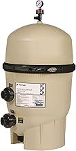 Pentair EC-160301 Clean & Clear Plus
