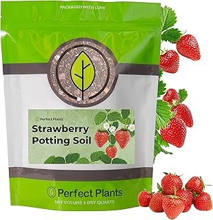 Perfect Plants Organic Strawberry Potting Mix
