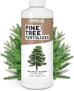 Pine Tree Fertilizer Leyland Cypress &