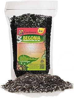 Premium Begonia Plant Potting Soil Gardenera