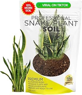 Professional Snake Plant Soil Large 2.2