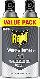 Raid Wasp & Hornet Killer Spray