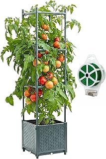 Raised Garden Bed Tomato Planter Box