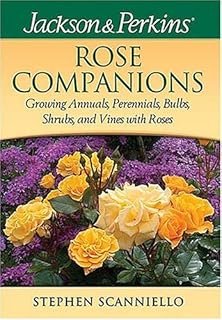 Rose Companions Growing Annuals Perennials Bulbs