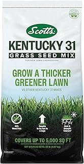 Scotts Kentucky 31 Grass Seed Mix
