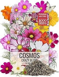 Seed Needs Flower Seeds Cosmos Original