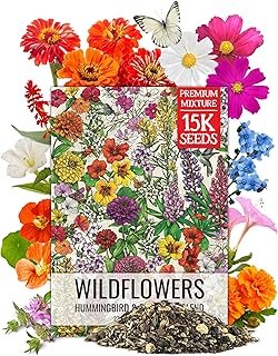 Seed Needs Flower Seeds Hummingbird Butterfly