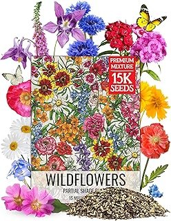 Seed Needs Partial Shade Wildflower Mix