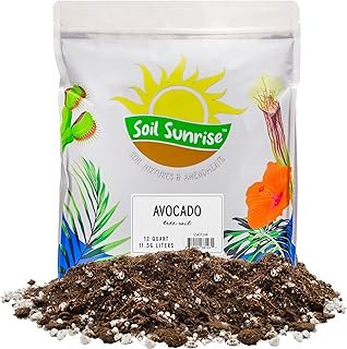 Soil Sunrise Avocado Tree Potting Mix