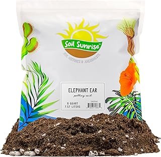 Soil Sunrise Elephant Ear Potting Mix