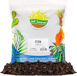 Soil Sunrise Fern Plant Potting Mix