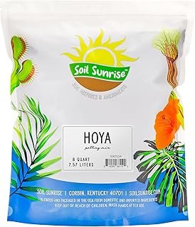 Soil Sunrise Hoya Plant Potting Mix