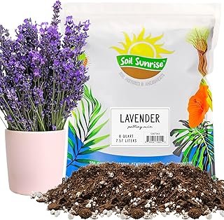 Soil Sunrise Lavender Potting Mix (8