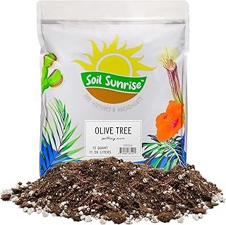 Soil Sunrise Olive Tree Potting Mix