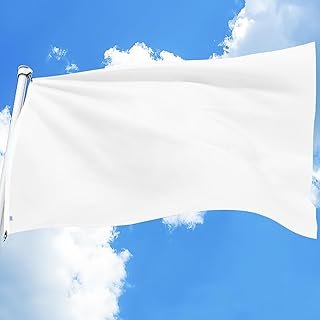 Solid 3x5 Ft Blank DIY Flag