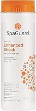 SpaGuard Enhanced Shock 2 lb Single