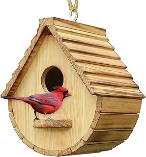 STARSWR Bird House Outside