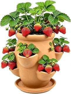 Strawberry Planter Pot Tower