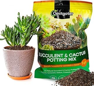 Succulent & Cactus Soil Potting Mix