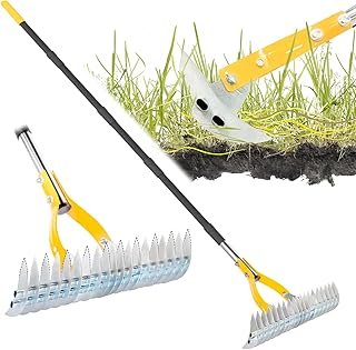 Thatch Rake Lawn 74inch Handle