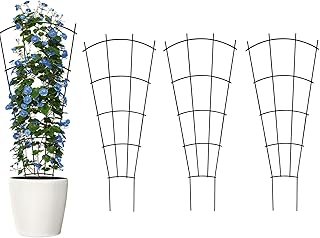 Thealyn 4 43" Metal Plant Trellis