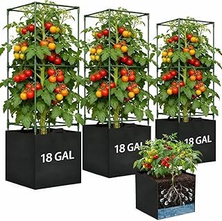 Tomato Cages Garden Planter Trellis 48in
