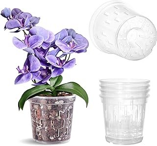 TRUEDAYS Orchid Pot 4 5 Inch