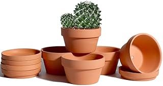 vensovo 5.7 Inch Terracotta Shallow Succulent