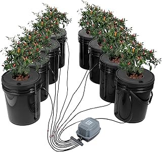 VEVOR DWC Hydroponic System