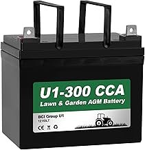 WEIZE Lawn Garden AGM Battery