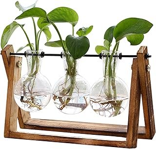 XXXFLOWER Plant Terrarium Wooden Stand