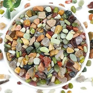 YISZM 2LB Succulent Cactus Colorful Pebbles