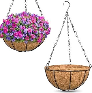 ZeeDix 2 14 Inch Hanging Baskets