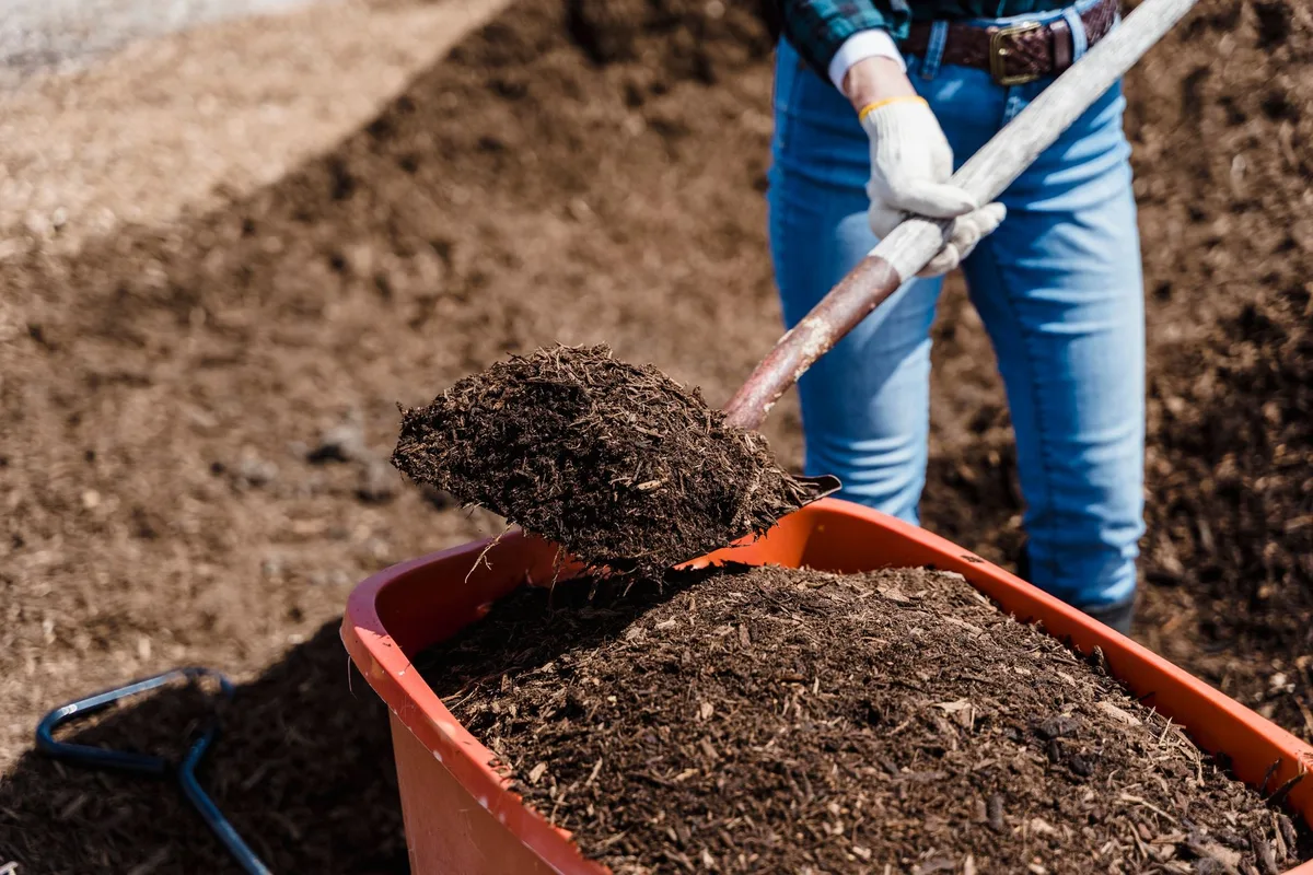 adding organic matter to soil