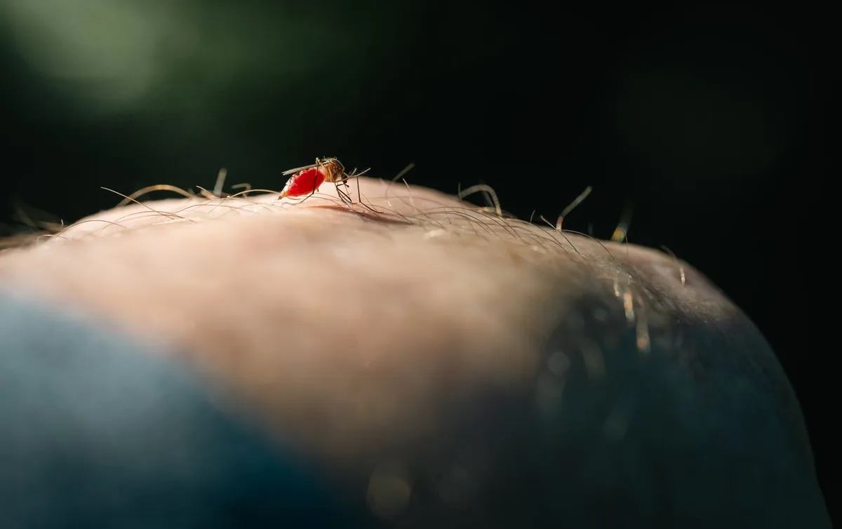 applying mosquito repellent