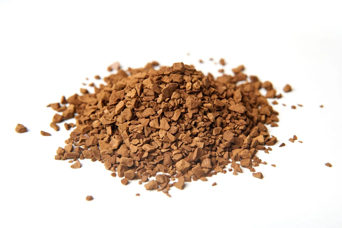 Are Ant Granules Safe for Dogs