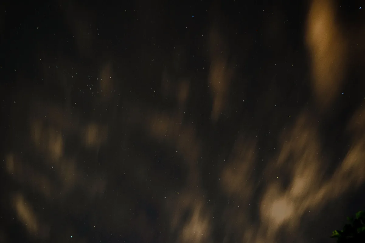Bacillus thuringiensis Milky Way