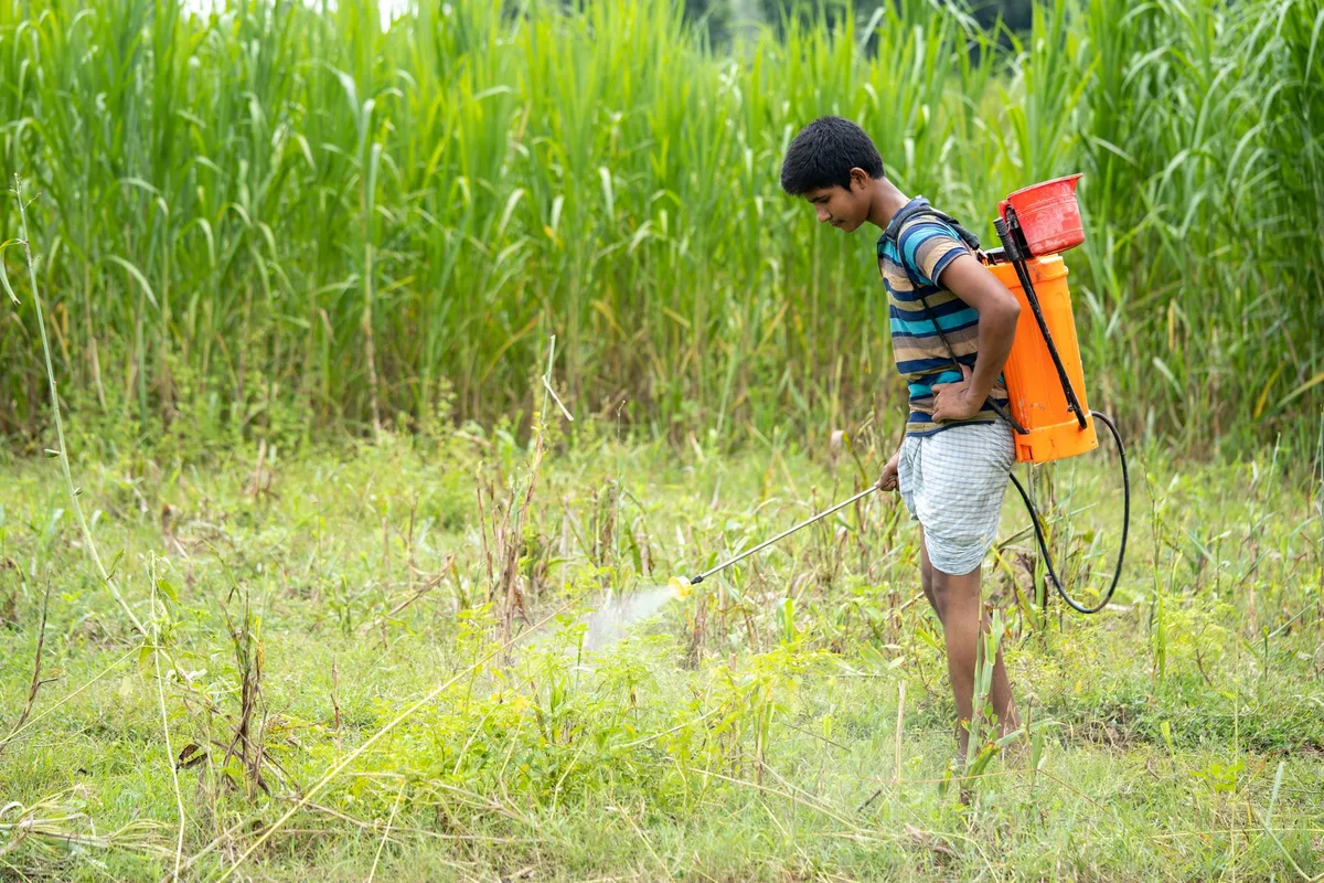 backpack sprayer lawn treatment calibration