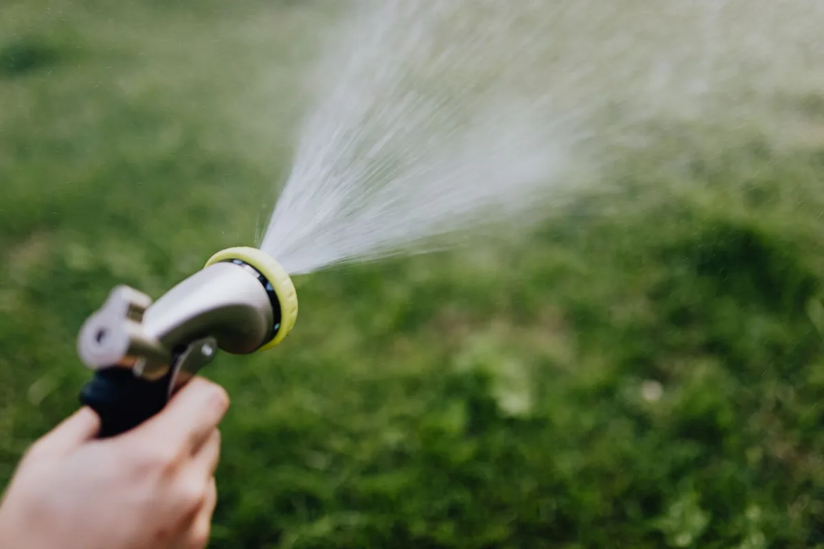 beneficial nematode application
