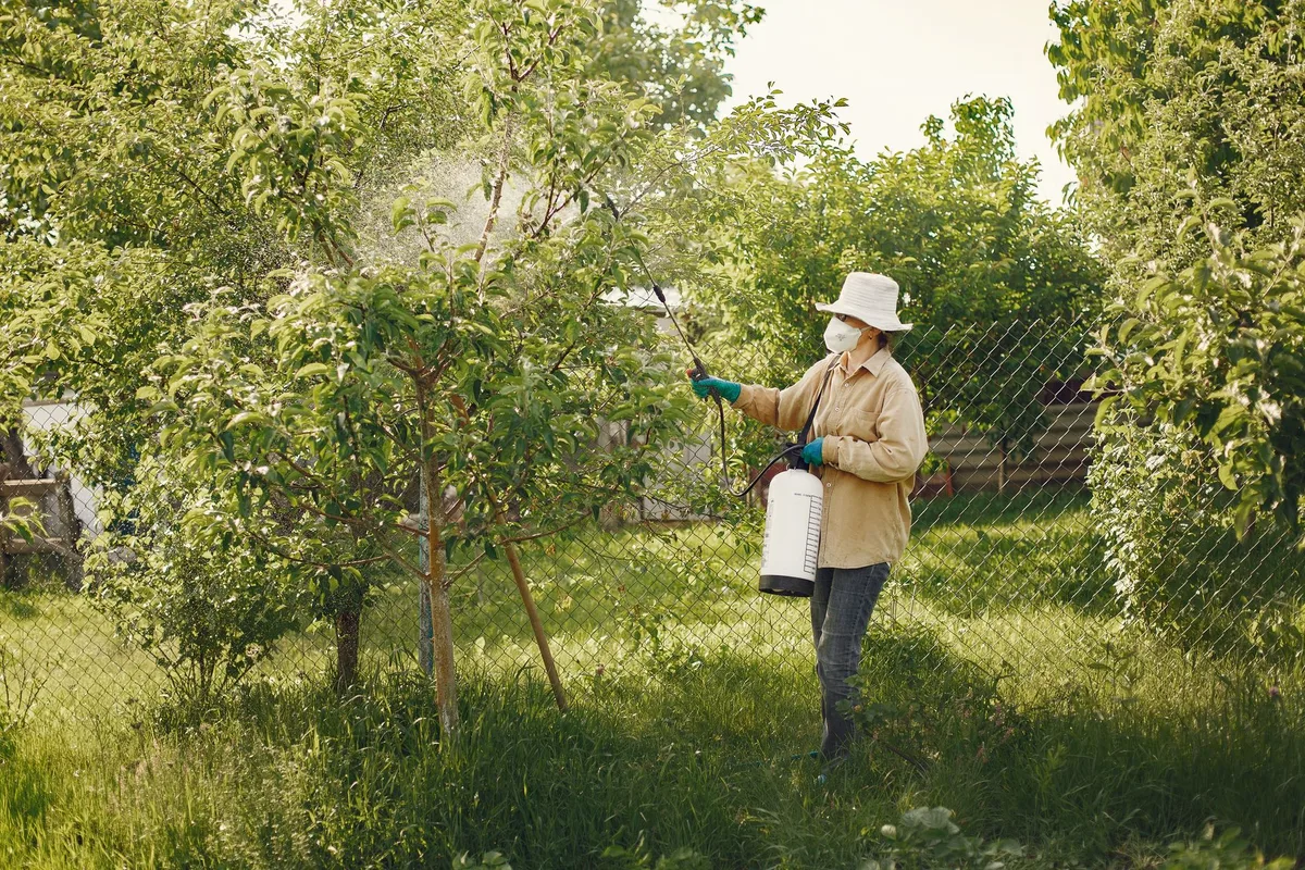 beneficial nematodes application